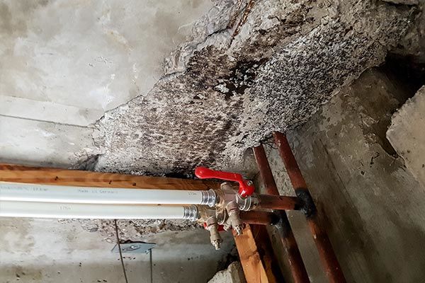 Asbestos removal needed in water damaged basement