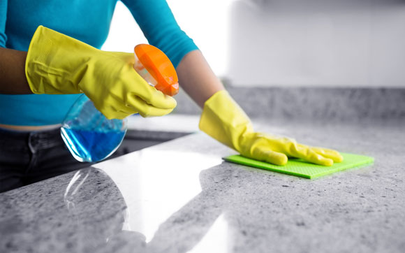 Mold Cleaner